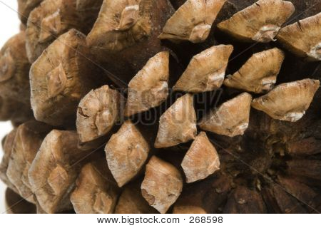 Macro de piña