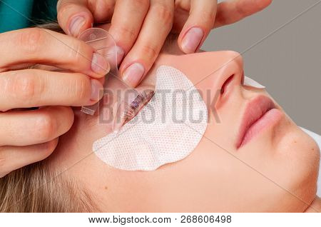 Eyelash Care Treatment Procedures. Woman Doing Lashes Lamination