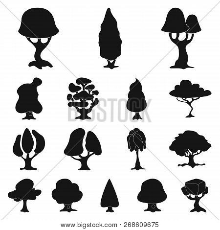 Vector Illustration Of Tree And Nature Icon. Set Of Tree And Crown Vector Icon For Stock.