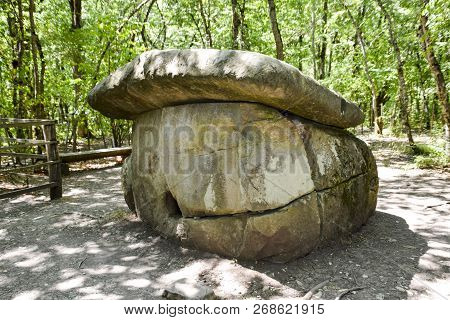 Big Shapsug Dolmen. A Megalytic Construction In The Woods Of Kuban.