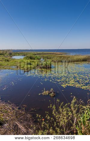 Wetlands In Nature Reserve Esteros Del Ibera, Argentina