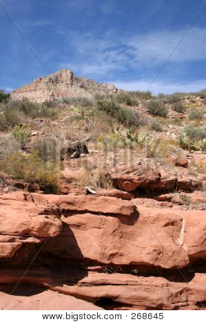 Desert Canyon