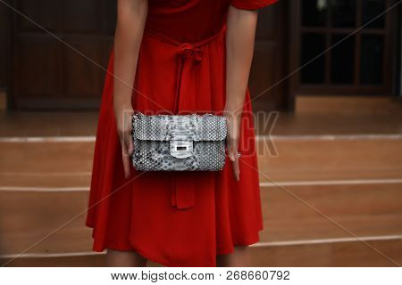 Woman Hands With Luxury Handmade Snakeskin Leather Handbag. Python Snake Fashionable Handbag, Wallet