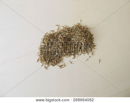 Hay Flower And Grass Flower On Wooden Board, Graminis Flos
