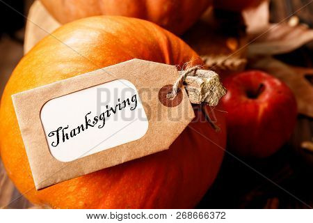 Happy Thanksgiving Concept. Still Life Composition With Pumpkin And Oher Fruits And Vegetble Small D