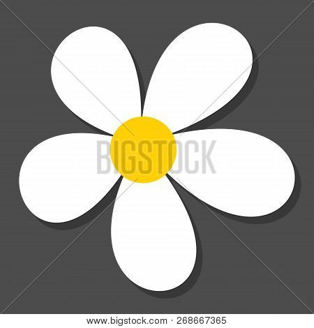 Chamomile Flat Vector Icon On A Grey Background With Shadow.