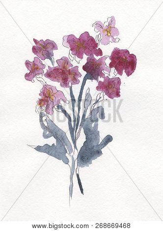 Bouquet Of Purple Irises, Buity Watercolor Drawing