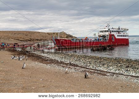Isla Magdalena, Chile - March 4, 2015: Ferry With Tourists Arrive At Penguin Colony On Isla Magdalen