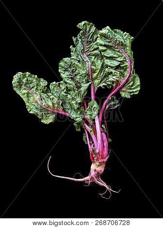 A Beet Plant Isolated Over A Black Background.