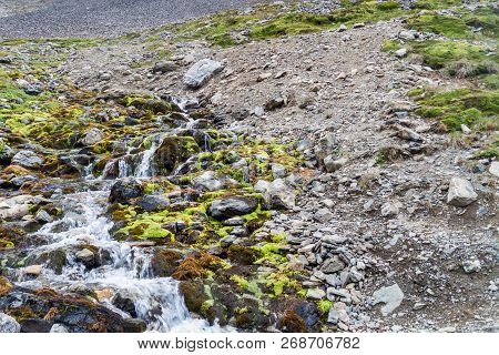 Creek At Martial Mountain Near Ushuaia, Tierra Del Fuego, Argentina