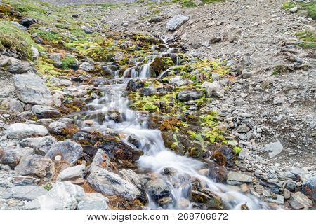Creek At Martial Mountain Near Ushuaia, Tierra Del Fuego, Argentina