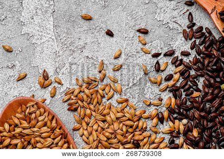 malted grains in a wooden spoon closeup. Mixed varieties of malted grain on a gray background. close-up. top view. flat lay. series of photos. space