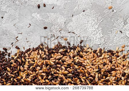 Malted Grain Closeup. Mixed Varieties Of Malted Grain On A Gray Background. Close-up. Top View. Flat