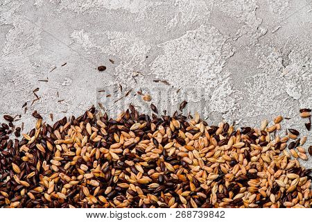 Malted Grain Closeup. Mixed Varieties Of Malted Grain On A Gray Background. Close-up. Top View. Flat