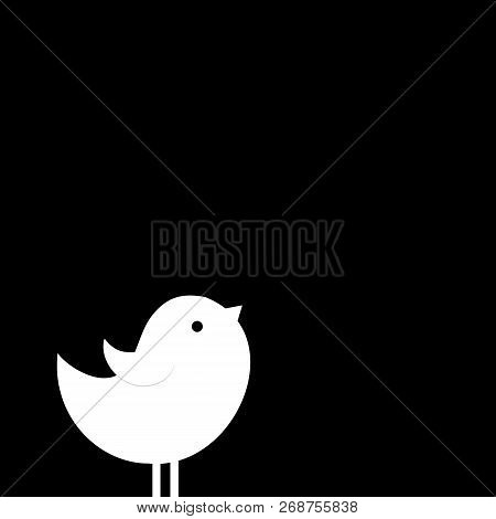 Bird, Background, Vector. Web Background. Vector Illustration.