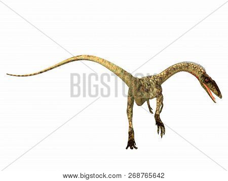 Coelophysis Dinosaur Tail 3d Illustration - Coelophysis Was A Carnivorous Theropod Dinosaur That Liv