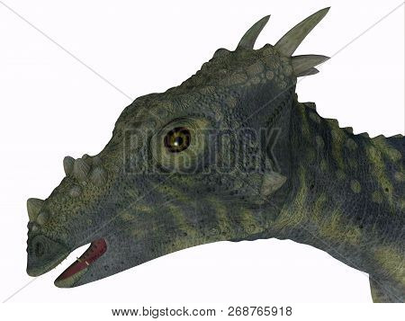 Dracorex Dinosaur Head 3d Illustration - Dracorex Was A Herbivorous Biped Dinosaur That Lived In Nor