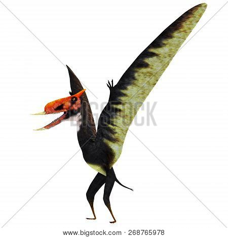 Dsungaripterus Pterosaur Standing 3d Illustration - Dsungaripterus Was A Pterosaur Raptor Bird That 