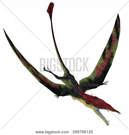 Eudimorphodon Pterosaur Diving 3d Illustration - Eudimorphodon Was A Carnivorous Pterosaur Bird That