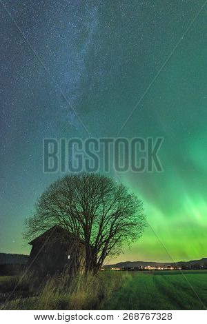 North Lights On The Sky Above Norway, Seen From Selbu Area.