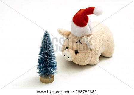 A Souvenir Pink Pig Or Piggy Bank In A Red Santa Claus Hat Stands Opposite A Christmas Tree. Copy Sp
