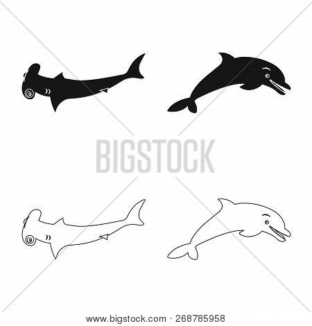 Vector Illustration Of Sea And Animal Sign. Set Of Sea And Marine Vector Icon For Stock.