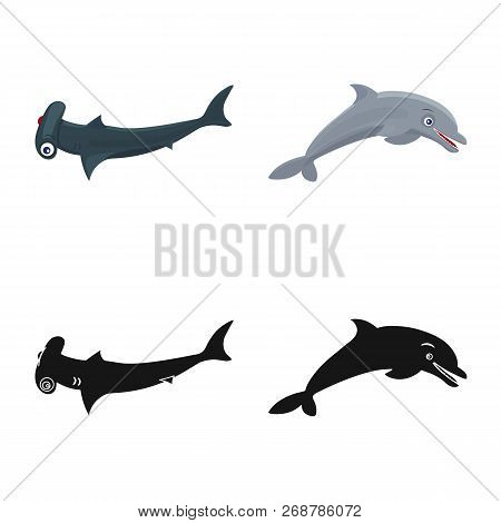 Vector Design Of Sea And Animal Logo. Collection Of Sea And Marine Stock Vector Illustration.