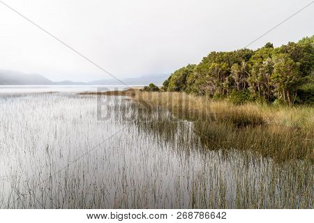 Cucao Lake In Chiloe National Park, Chile