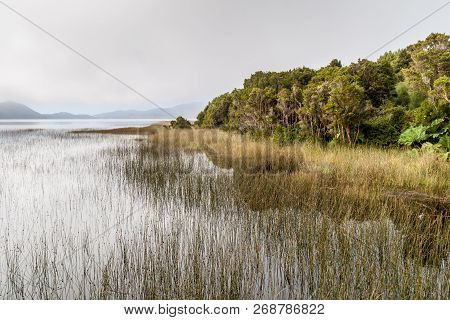 Cucao Lake In Chiloe National Park, Chile