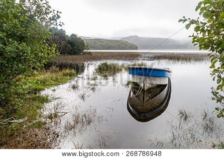 Cucao Lake In Chiloe National Park, Chile