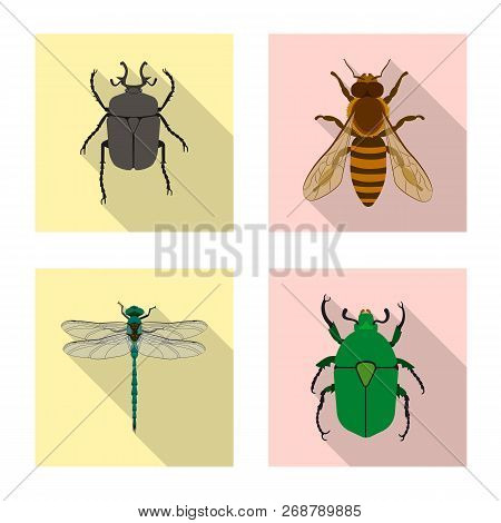 Vector Design Of Insect And Fly Sign. Collection Of Insect And Element Vector Icon For Stock.