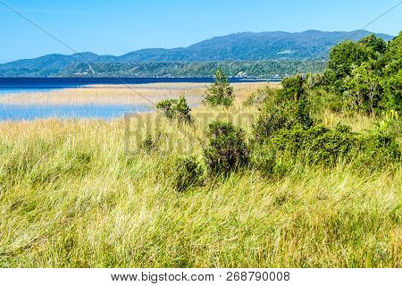Cucao Lake In Chiloe National Park, Chile