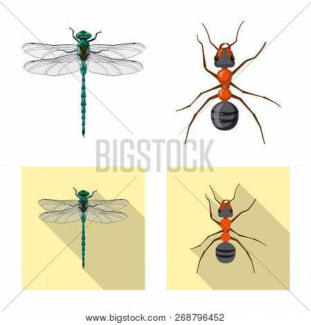 Isolated Object Of Insect And Fly Sign. Collection Of Insect And Element Stock Symbol For Web.