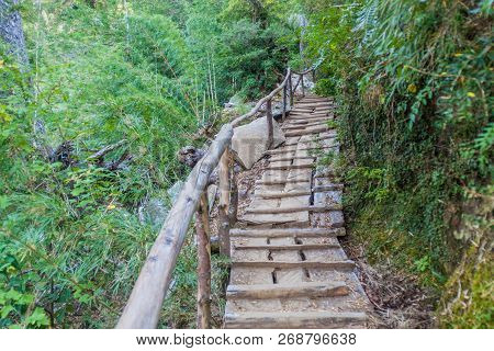 Hiking Trail In National Park Huerquehue, Chile