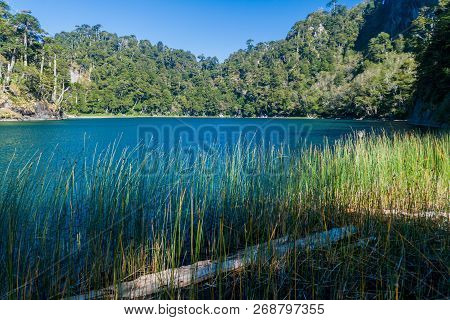 Lago Verde Lake In National Park Huerquehue, Chile