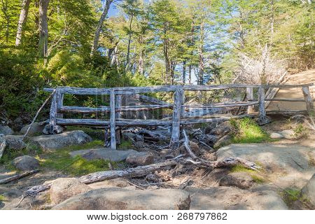 Wooden Bridge On A Hiking Trail In National Park Huerquehue, Chile