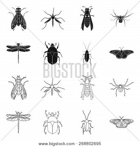 Vector Illustration Of Insect And Fly Icon. Collection Of Insect And Element Vector Icon For Stock.