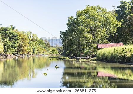 Mangrove Water In Jungle Of Costa Rica
