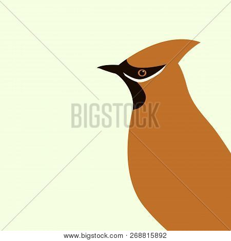 Waxwings  Vector Illustration   Flat Style  Profile View