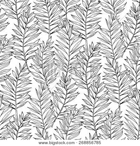 Vector Seamless Areca Palm Leaves Pattern. Exotic Foliage. Botanical Illustration. Black And White. 