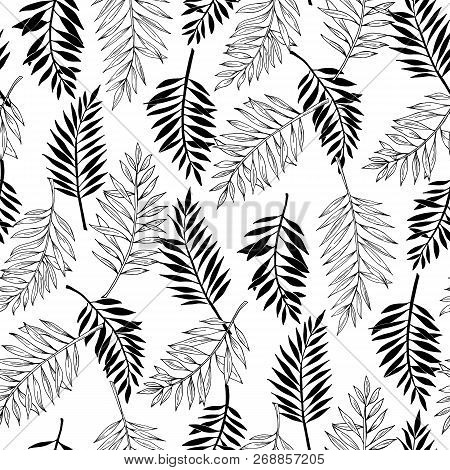 Vector Seamless Areca Palm Leaves Pattern. Exotic Foliage. Line Drawings And Silhouettes. Black And 