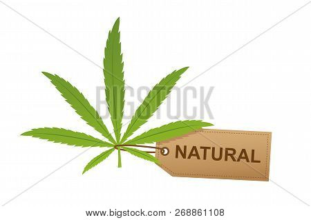 Cannabis Leaf With Natural Label Isoladet On White Background Vector Illustration Eps10