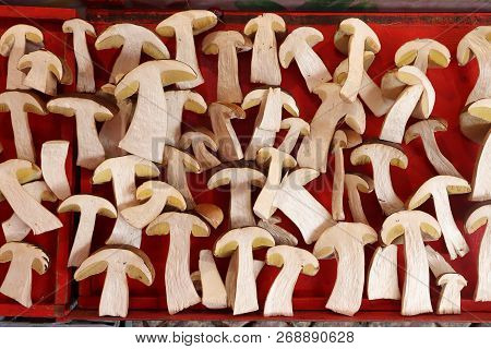 Food Market Of Hotorget In Stockholm, Sweden. Bolete Mushrooms From The Forest.