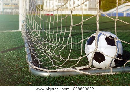 7534022 Football On A Green Field. The Ball In The Goal.