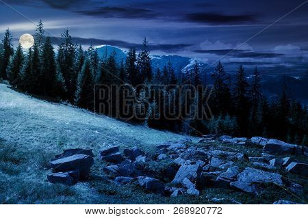 Alpine Summer Landscape Composite At Night In Full Moon Light. Rock Formation Near The Spruce Forest