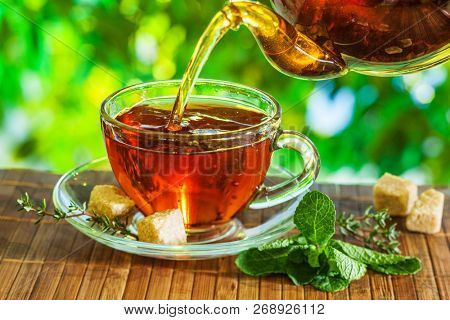 Tea time. Pouring out hot tea into a cup. Green nature background.