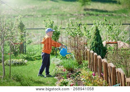 Boy With Blue Watering Can In His Hands Helping To Water The Flowers In A Countryside Croft.