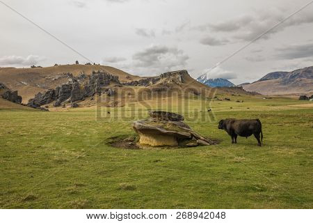 The Castle Hill Conservation Area or  Kura Tawhiti, Arthur's pass, Limestone rock formations, Southern Alps, South island, New Zealand