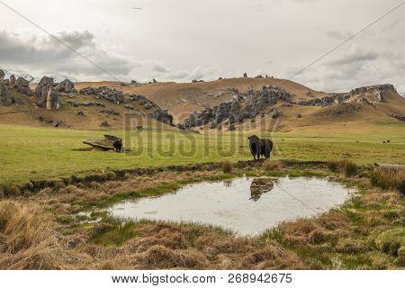 The Castle Hill Conservation Area or  Kura Tawhiti, Arthur's pass, Limestone rock formations, Southern Alps, South island, New Zealand