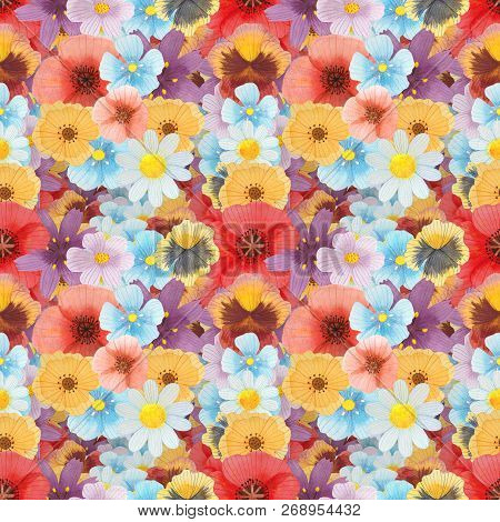 Wild Flowers Watercolor Pattern Set Illustration Seamless